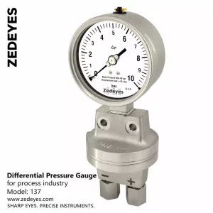 Differential pressure gauge